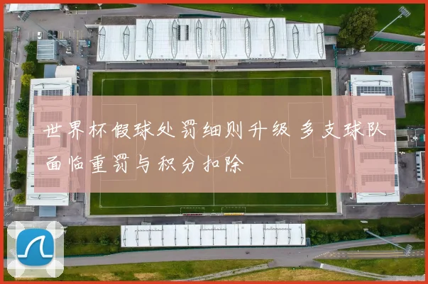 世界杯假球处罚细则升级 多支球队面临重罚与积分扣除