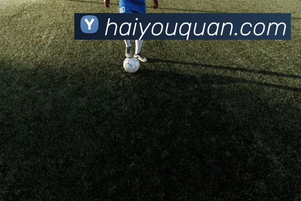 c7网站服务体系